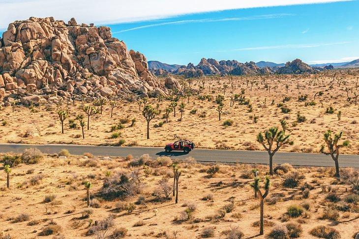 Tour en jeep a través del Parque Nacional Joshua Tree