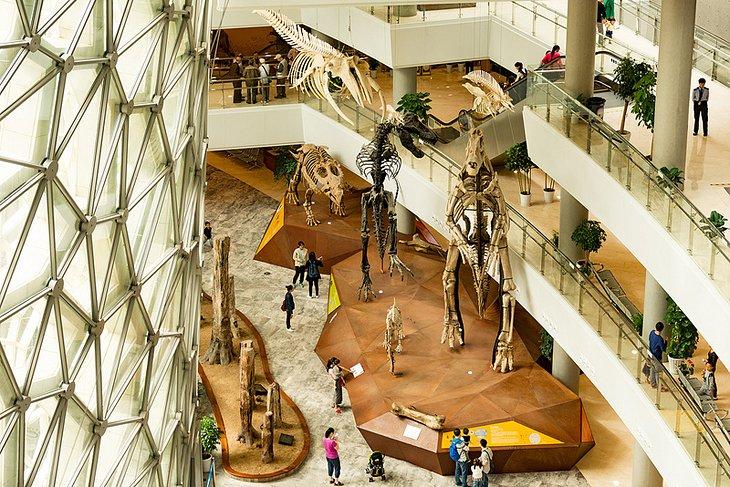 Museo de Historia Natural de Shanghái /