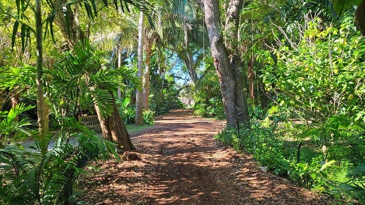 Jardines Botánicos Tropicales Fairchild
