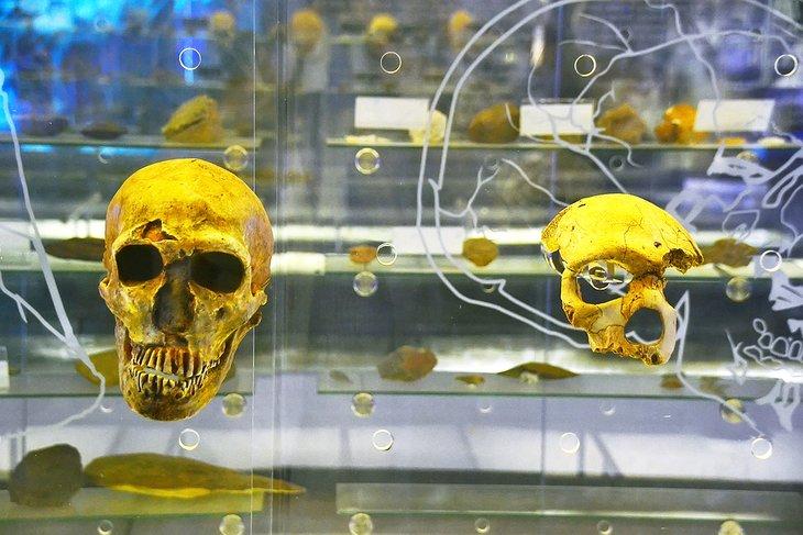 La Cuna de la Humanidad