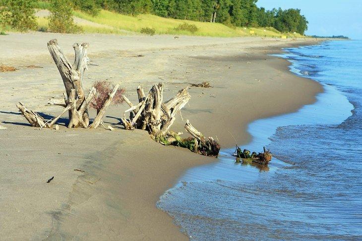 Parc provincial Long Point