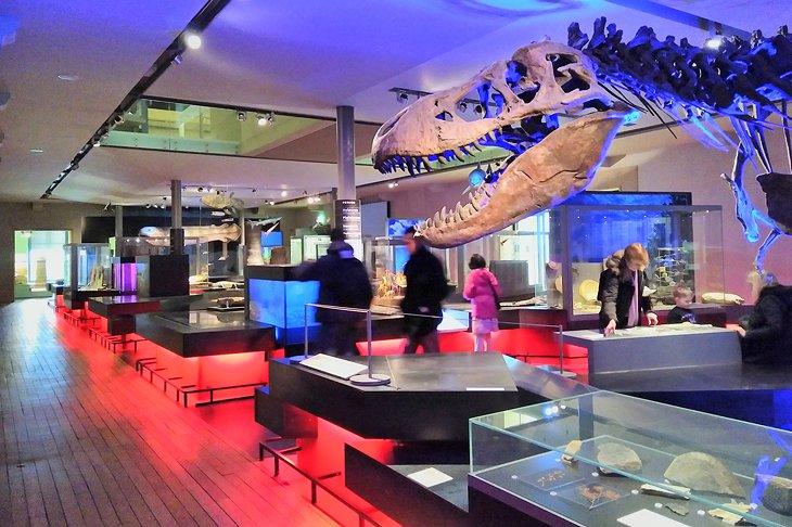 Great North Museum: Hancock