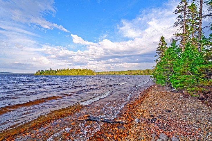 Parc national de Terra Nova