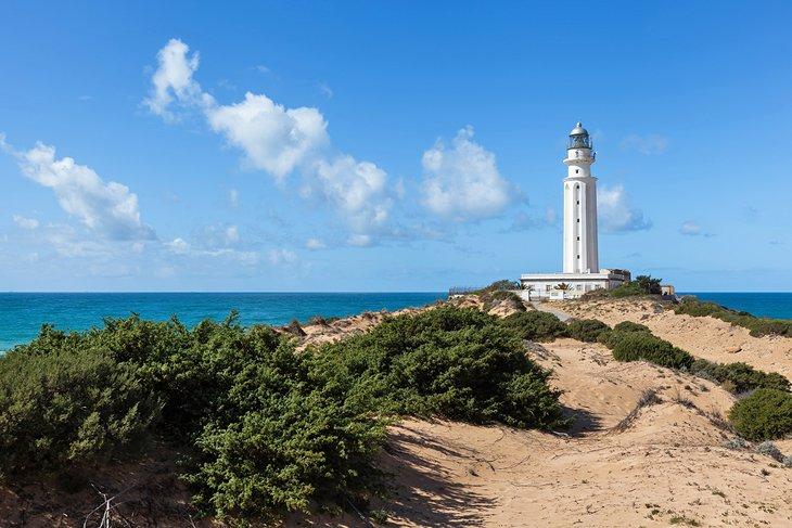 Faro de Cabo Trafalgar