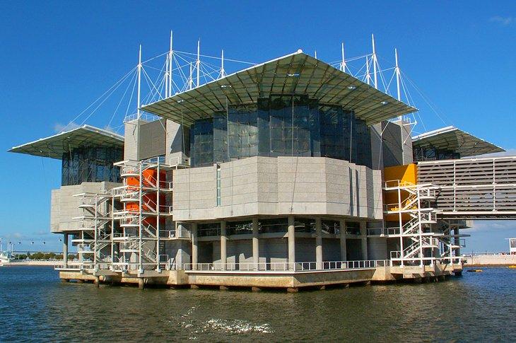 Oceanário de Lisboa: Ein modernes Aquarium