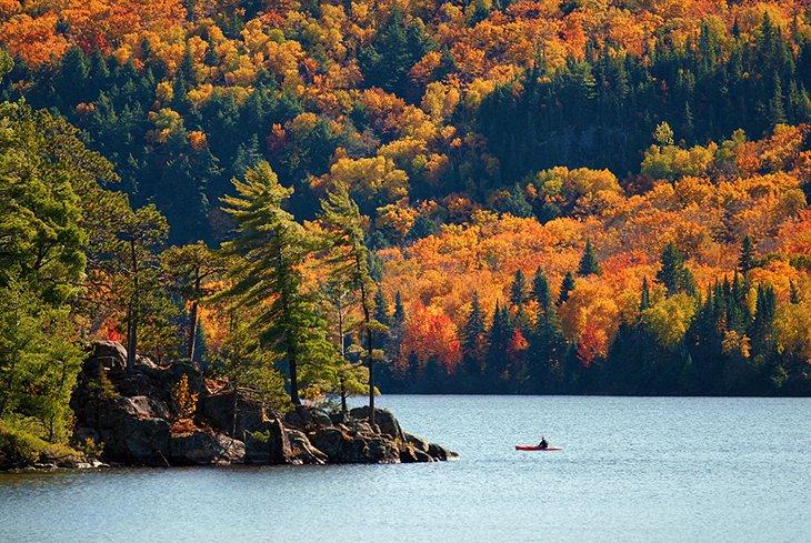 Parque Provincial de Algonquin