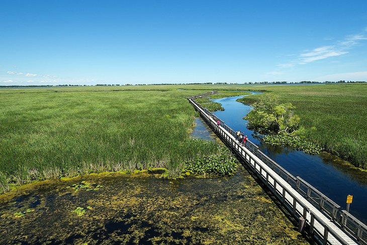 Parque Nacional Point Pelee