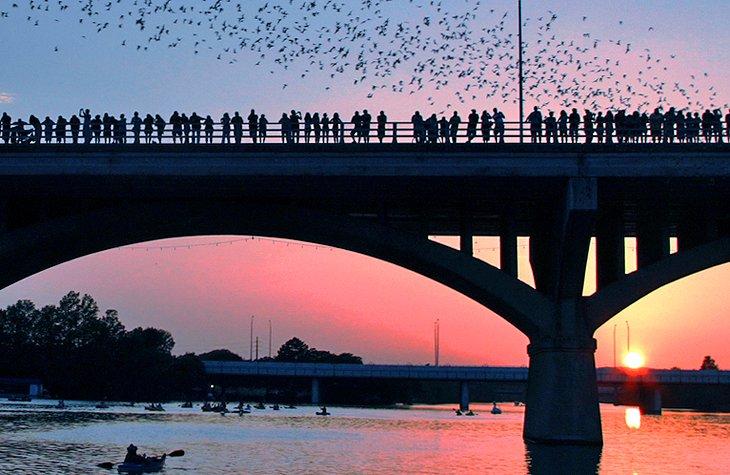 Observando a los murciélagos al atardecer en Austin