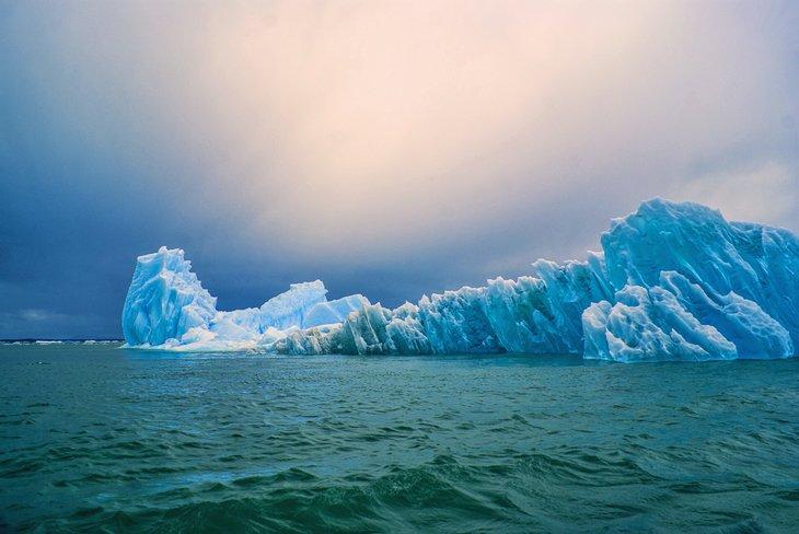 Glaciers flottant dans la Laguna San Rafael