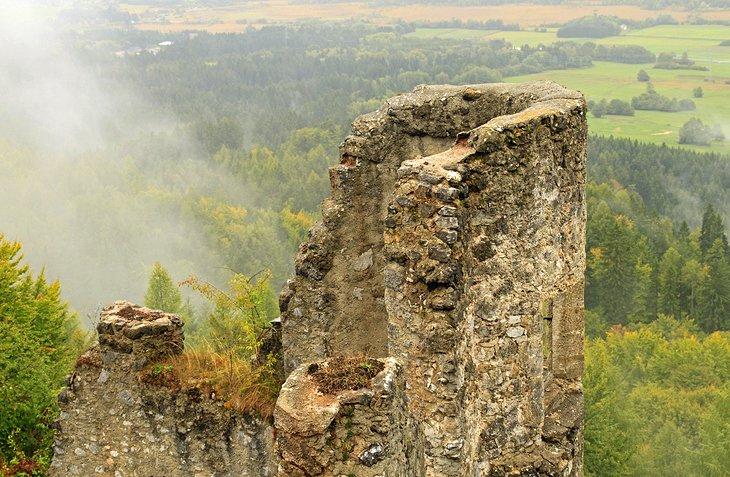 Ruines du château de Finkenstein