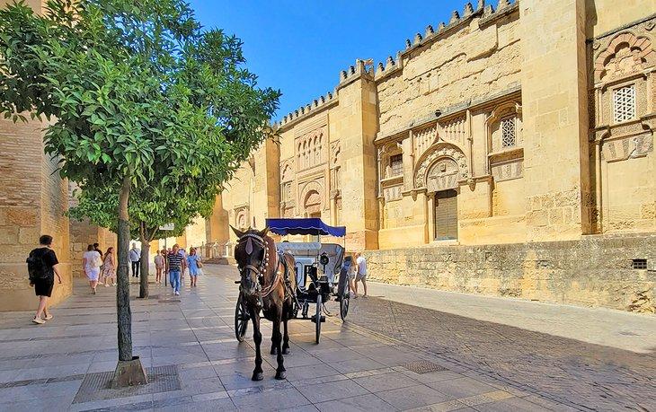 Pferd und Wagen an der Mezquita