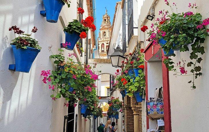 Calleja de las Flores