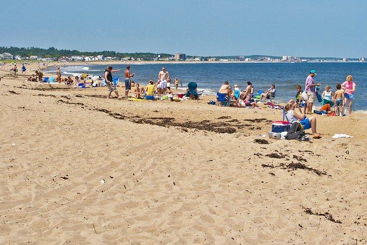 Playa Old Orchard