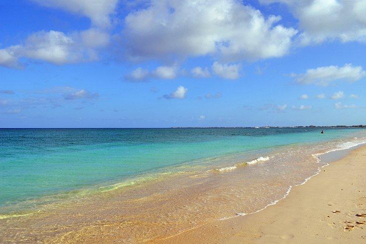 Playa Willard