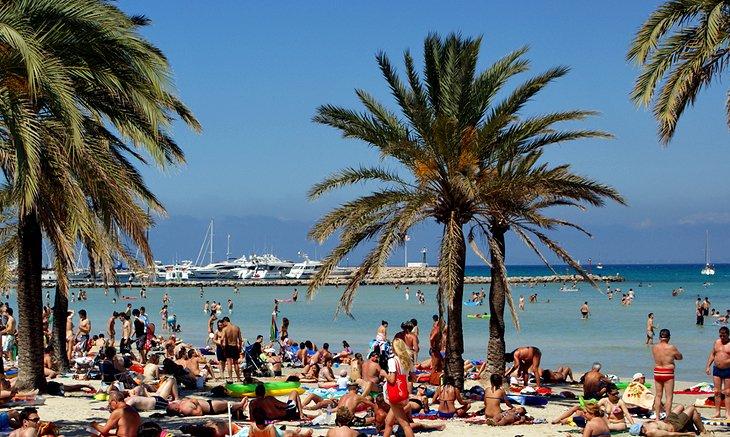 Playa de Llucmajor