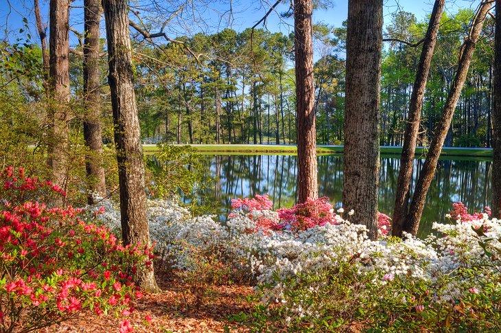 Jardines Callaway