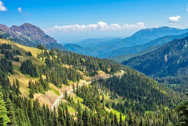 Straße auf Hurricane Ridge im Olympic Nationalpark
