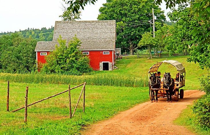 Ross Farm Museum | <a rel="nofollow noopener noreferrer" class="cc16_b" target="_blank" href="http://www.flickr.com/photos/archer10/"> Dennis Jarvis</a> / Foto modifiziert
