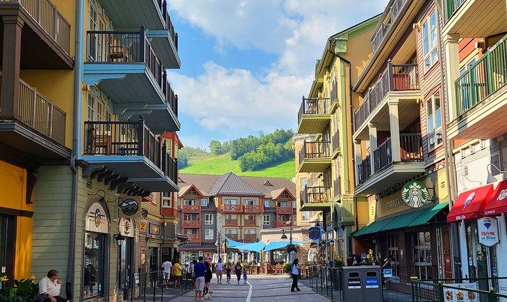 Una calle en Blue Mountain