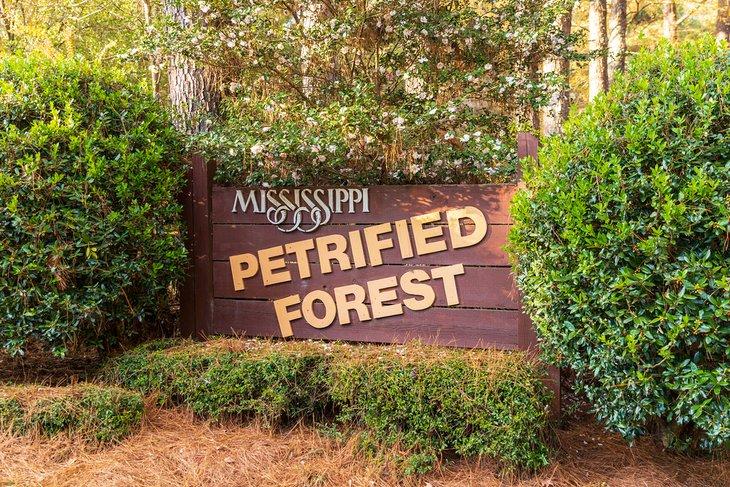 Bosque Petrificado de Mississippi