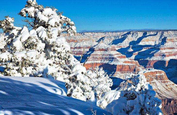 Gran Cañón después de una nevada