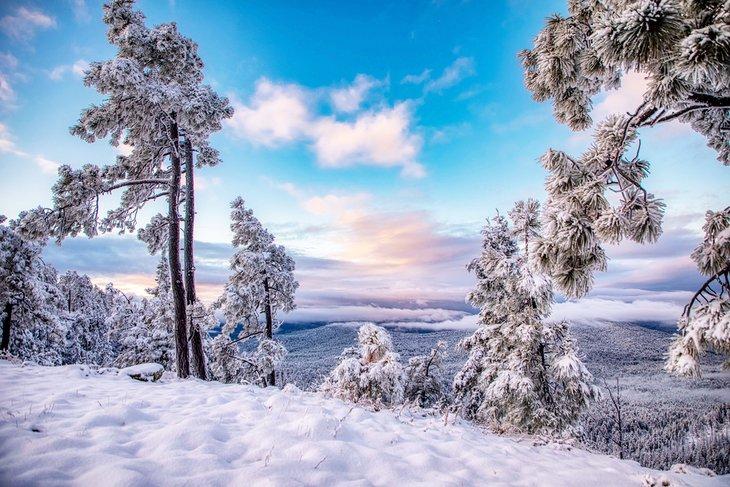 Mogollon Rim cerca de Payson