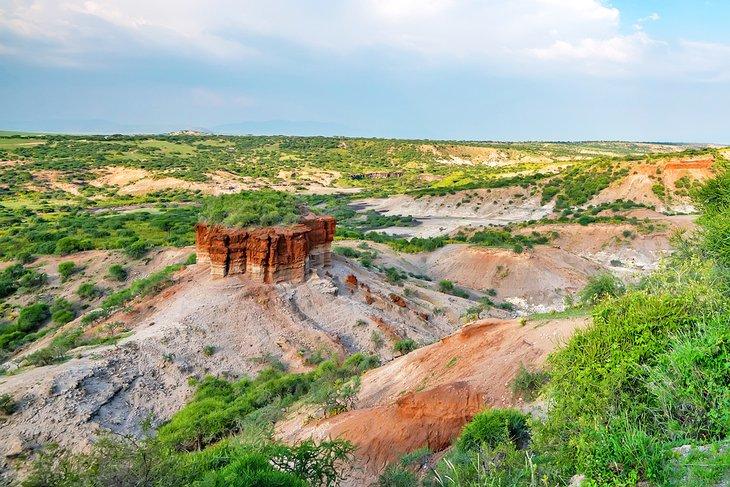 Gorge d'Olduvai