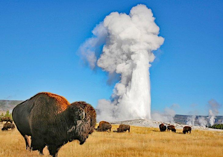 Old Faithful, Parque Nacional Yellowstone
