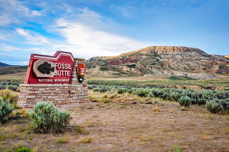 Monumento Nacional Fossil Butte