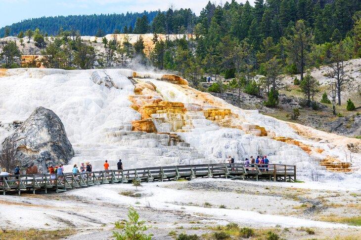 Fuentes Termales Mammoth