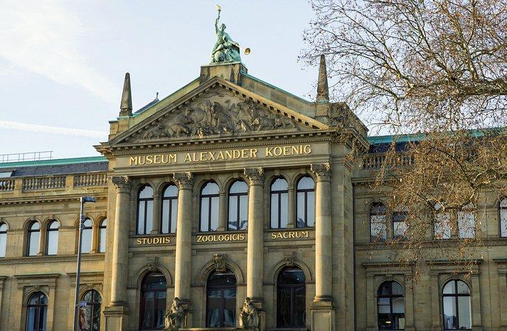 Museo Koenig