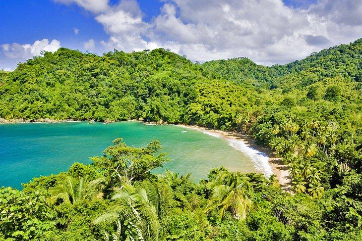 Bahía del Inglés, Tobago