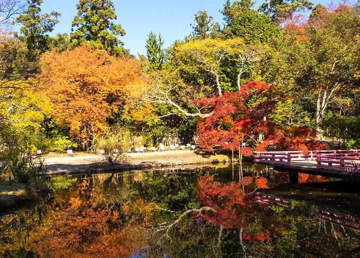 El Jardín Botánico Manyo