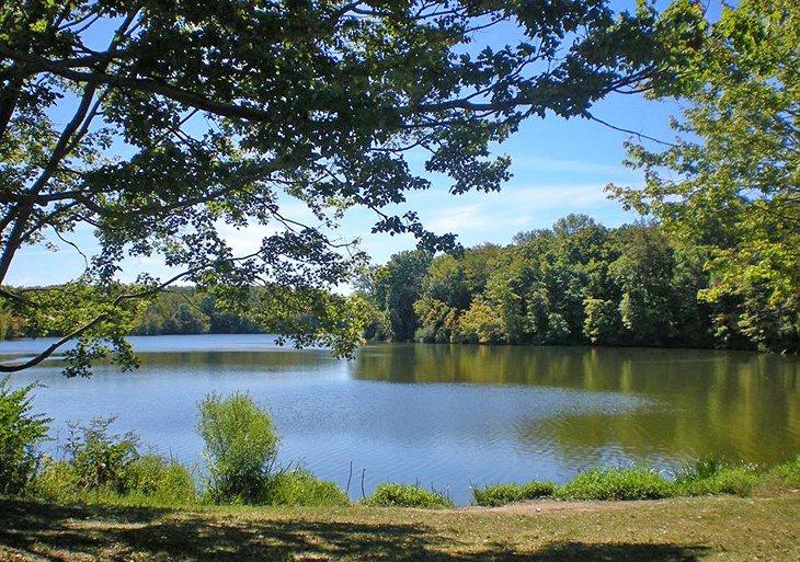 Lago East Fork