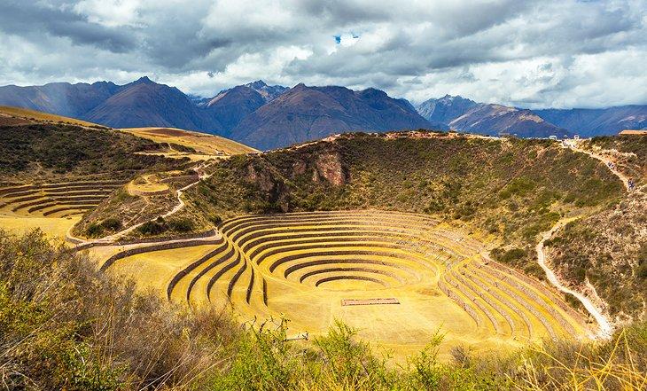Moray