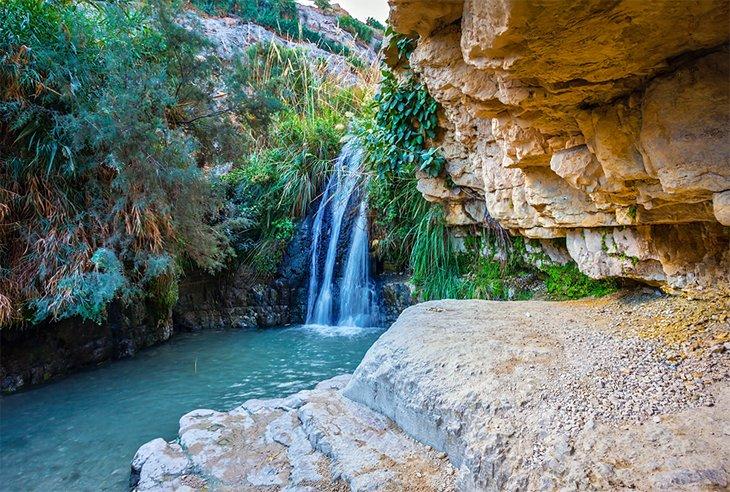 Cascada en la Reserva Natural de Ein Gedi