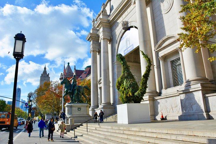 Museo Americano de Historia Natural