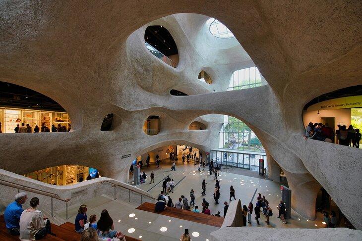 Centro Richard Gilder para Ciencia, Educación e Innovación en el Museo Americano de Historia Natural, Nueva York