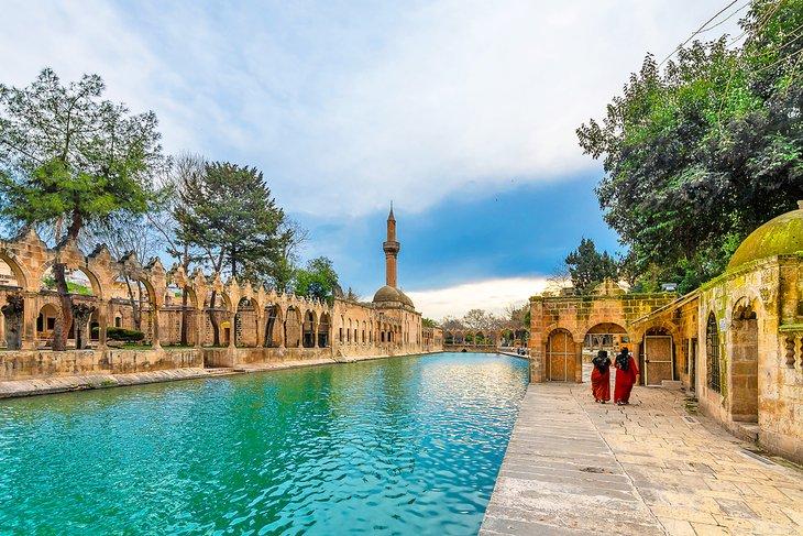 La piscine d'Abraham, Sanliurfa