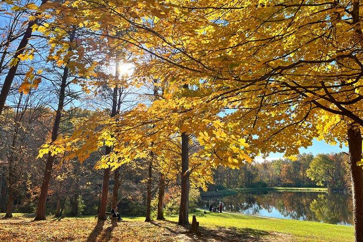 Colores de otoño en el Parque Eagle Creek y Reserva Natural