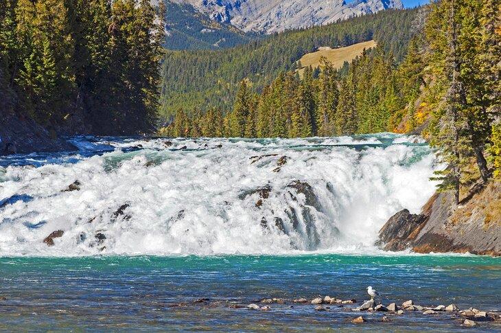 Chutes Bow