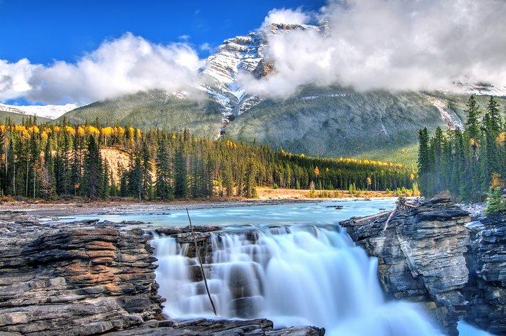 Chutes Athabasca, parc national de Jasper
