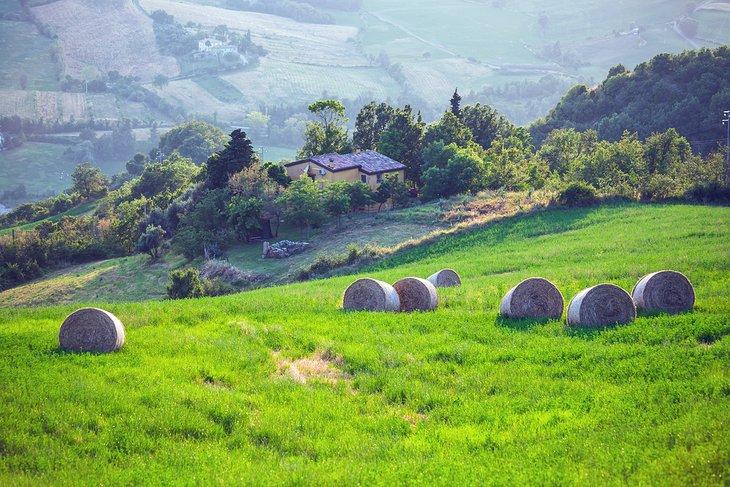 Terreno agrícola en San Marino