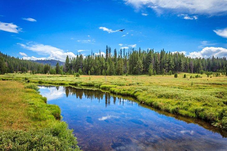 Bosque Nacional Boise cerca de Idaho City