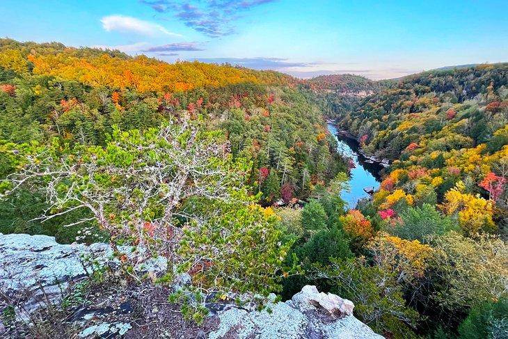 Blick von Lilly Bluff im Obed National Wild and Scenic River