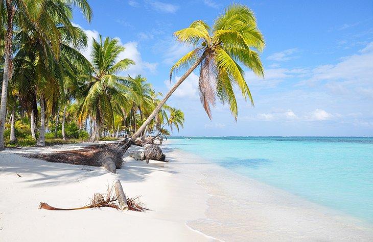 Une plage dans les îles San Blas