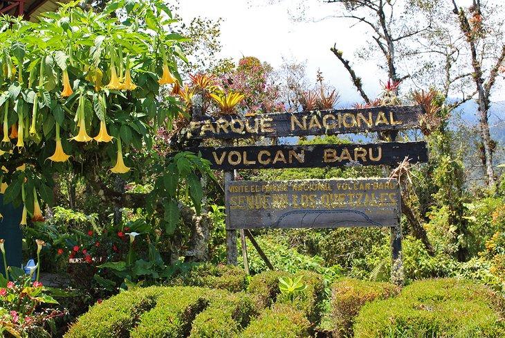 Parque Nacional Volcan Baru près de Boquete