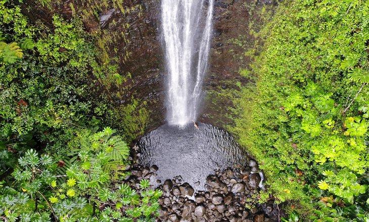 Cascadas Manoa