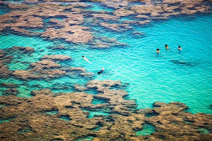 Esnorquelistas en Hanauma Bay, Honolulu