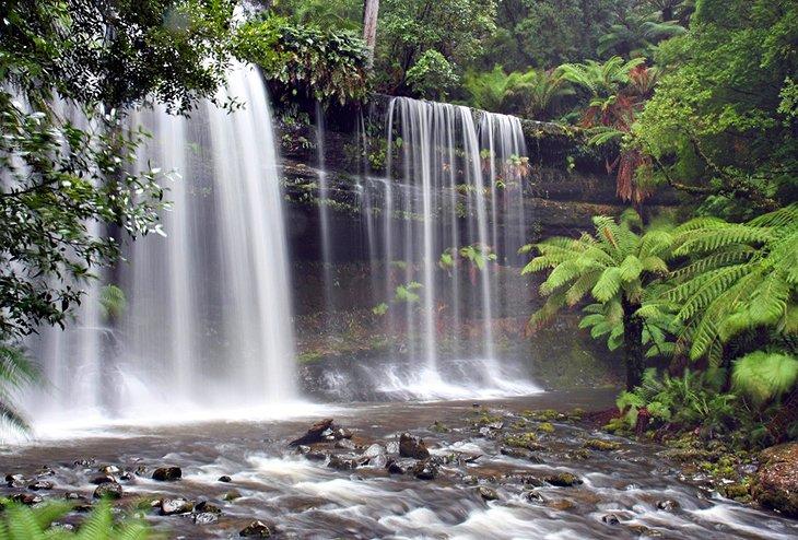 Mount Field Nationalpark